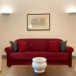 Corte D\'Oro Nel Centro Storico - Wi-Fi & Netflix